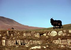 1975 UK Yorkshire Dales 021